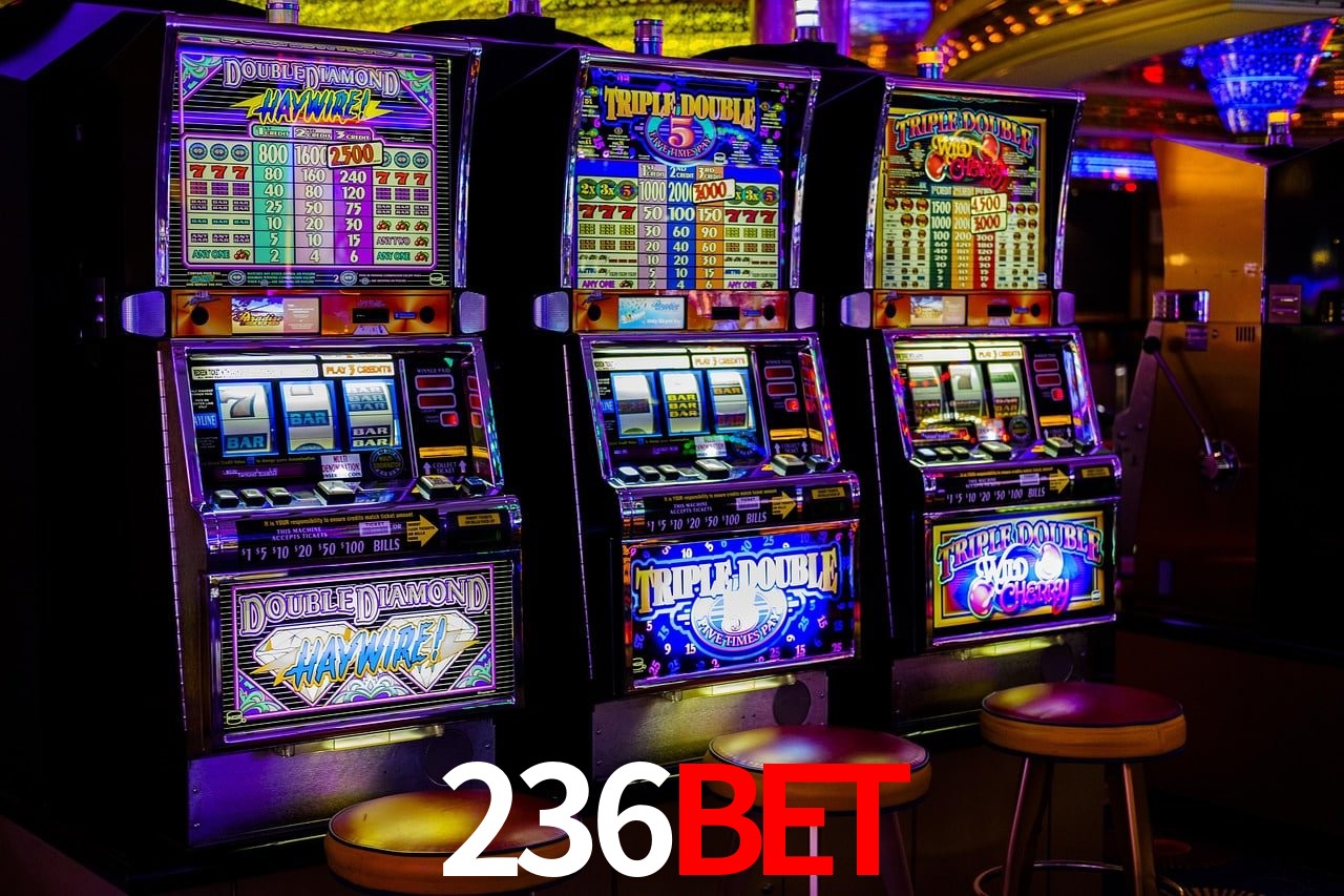 Programa VIP 236bet